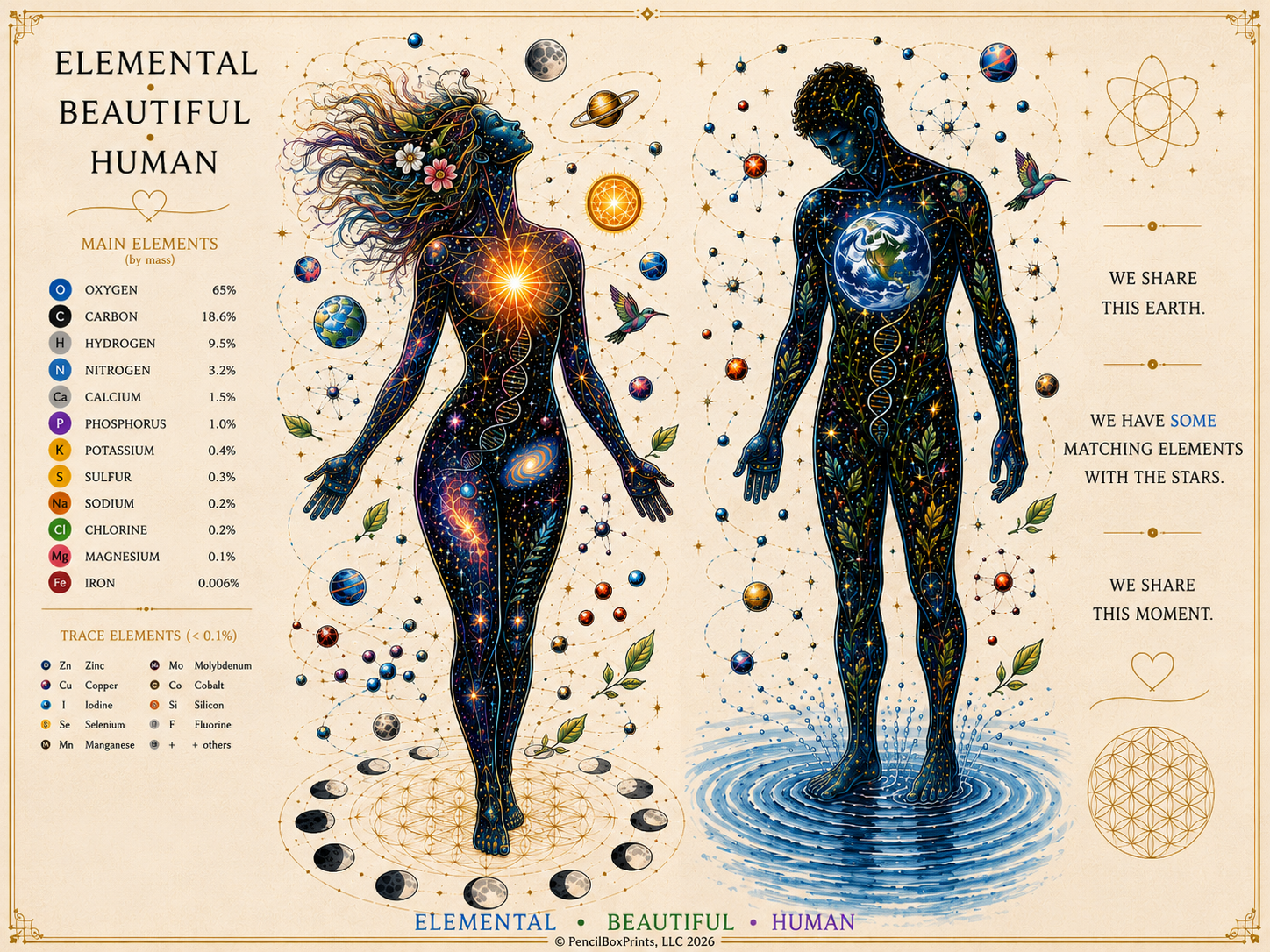 Elemental•Beautiful•Human