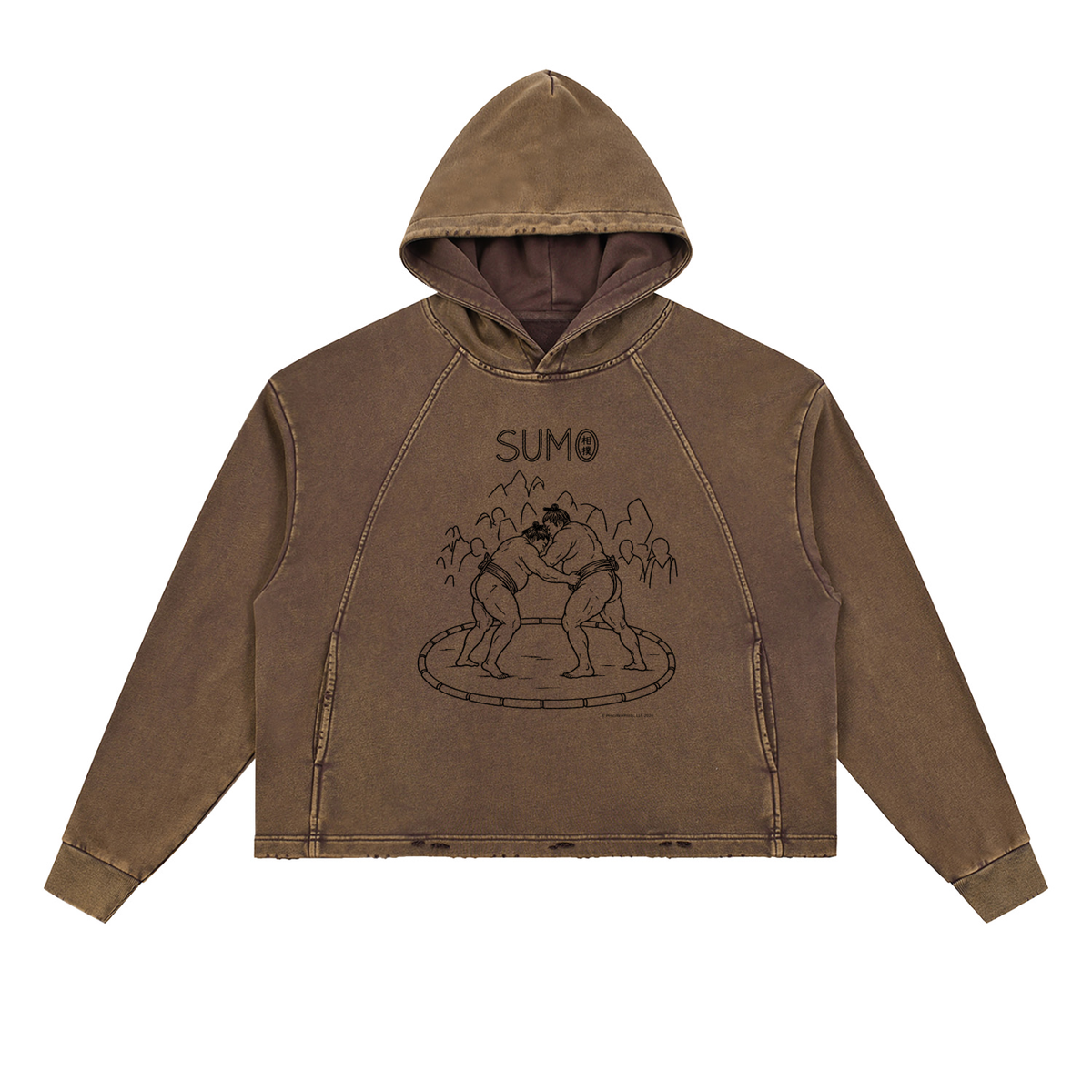 Vintage Washed Frayed-Hem Hoodie
